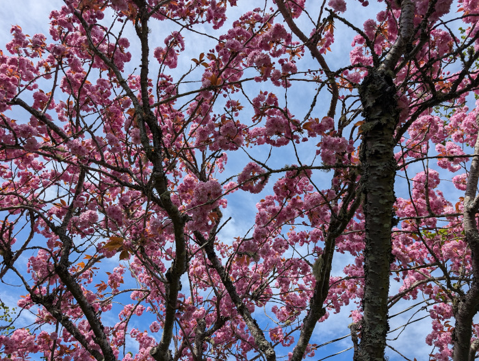 Nice picture of Victoria BC ;-)